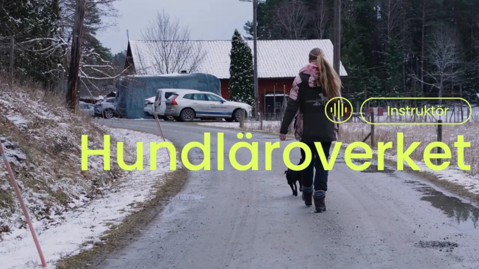 Irene har ryggen mod kameraet og går med en af hundene.
