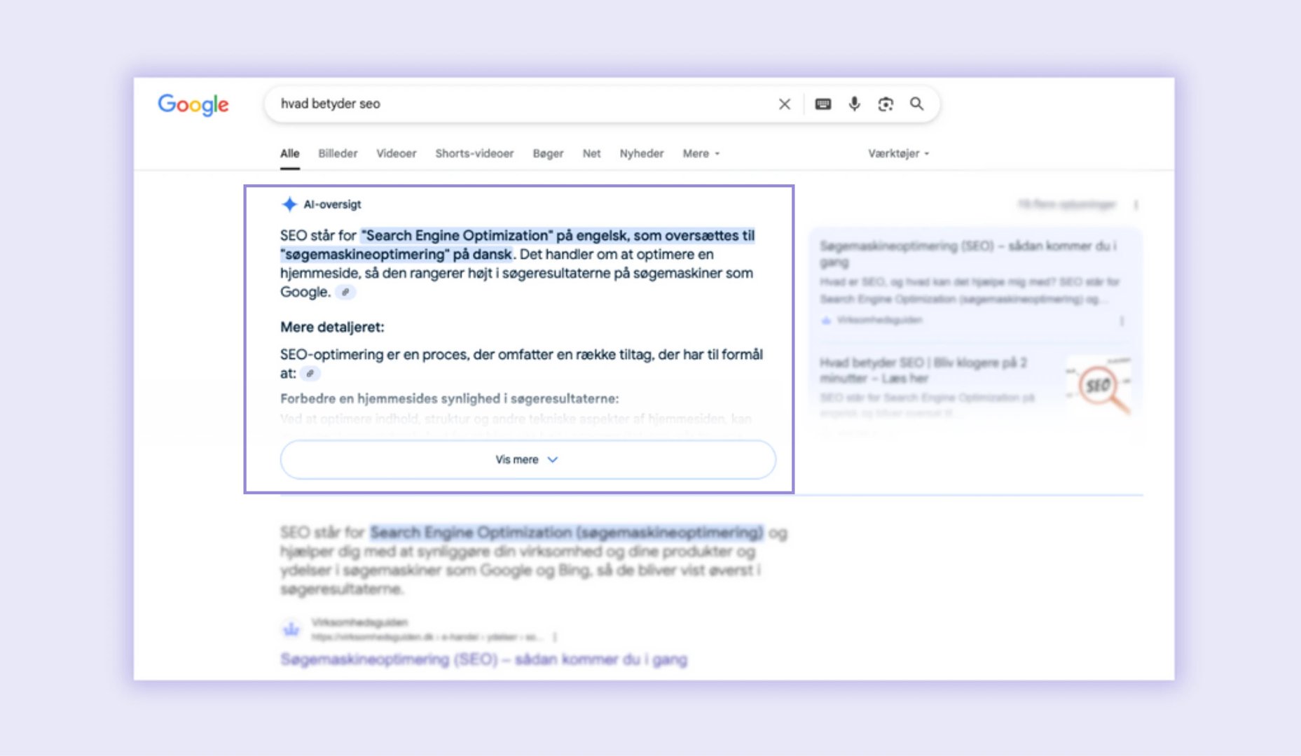 Google AI Overview - Hvad er SEO optimering