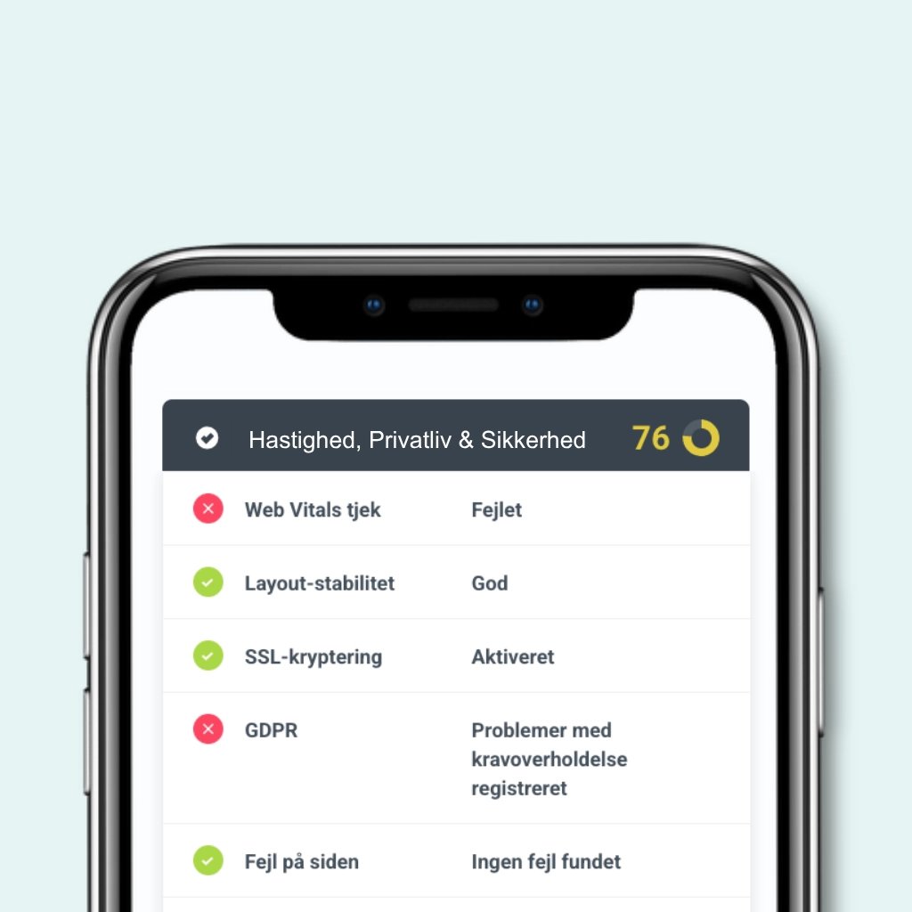 Webtjek: Hastighed, privatliv & sikkerhed