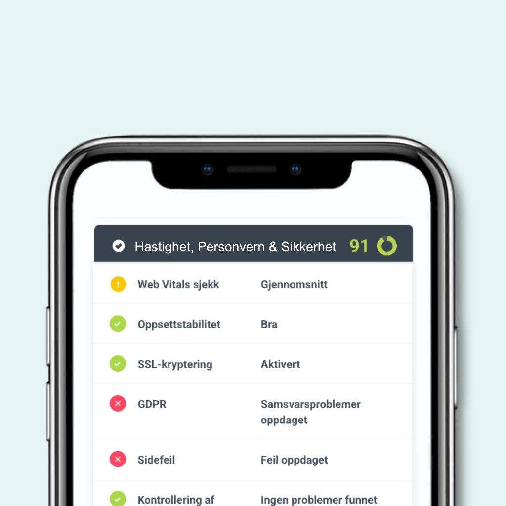 Hjemmesidesjekken: Hastighet, personvern & sikkerhet
