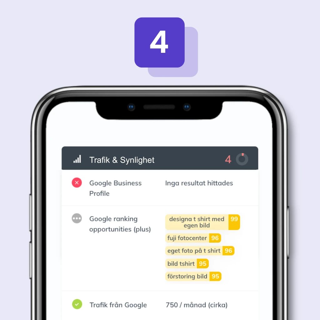 Hemsidekollen: Trafik & Synlighet