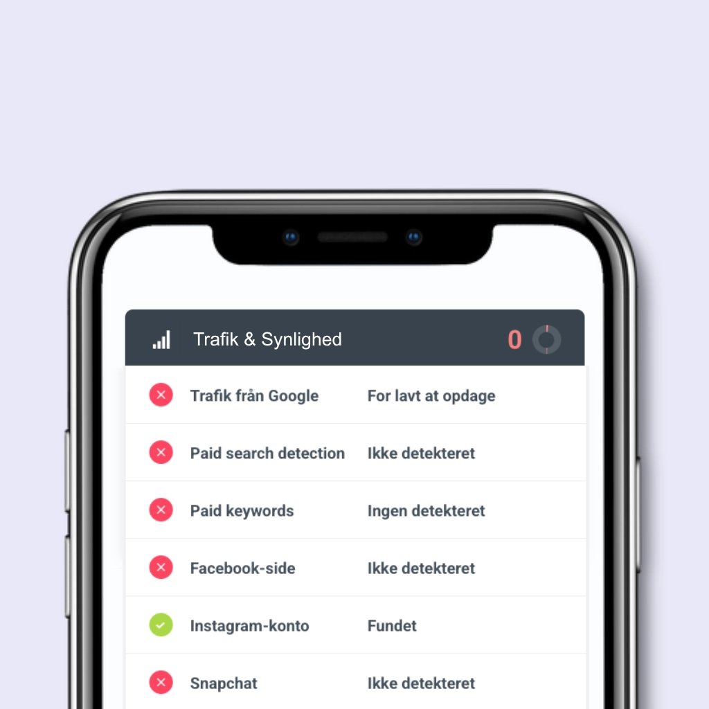 Webtjek: Trafik & synlighed