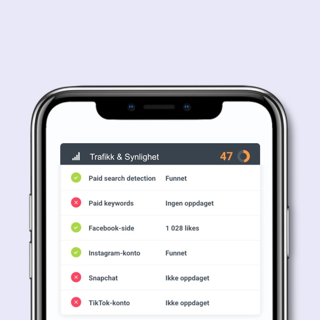Hjemmesidesjekken: Trafikk & synlighet